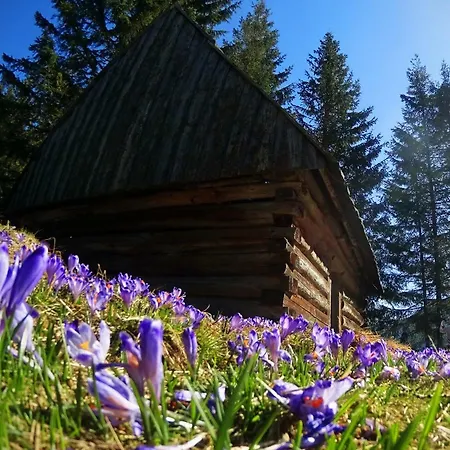 مكان تخييم Camper Place W Dolinie Chocholowskiej Witów